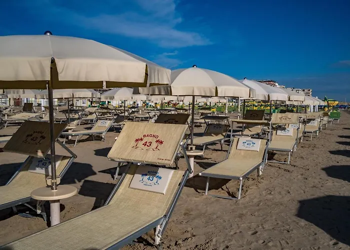 ホテル Dei Fiori - Sul Mare Con Piscina 3*