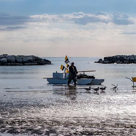 فندق Dei Fiori - Sul Mare Con Piscina