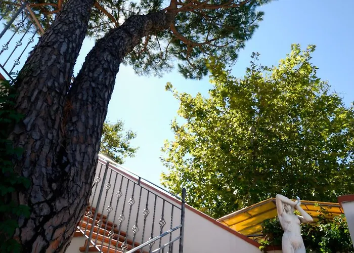 Hotel Dei Fiori - Sul Mare Con Piscina 3*